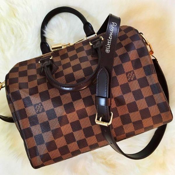 LV Speedy 25 Damier Ebene