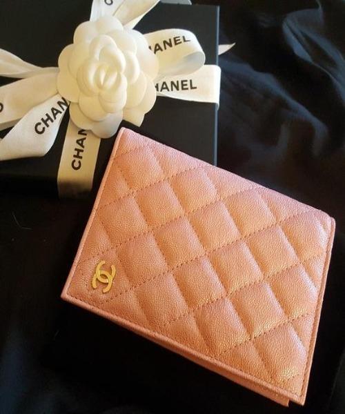 Classic Passport Holder Caviar Leather Pink